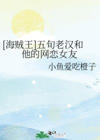 [海贼王]五旬老汉和他的网恋女友